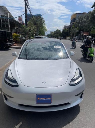 Tesla Model 3 2019