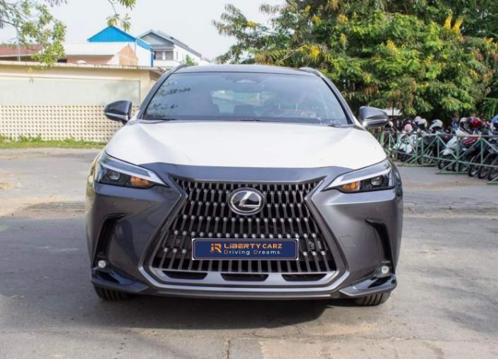 Lexus NX 2022