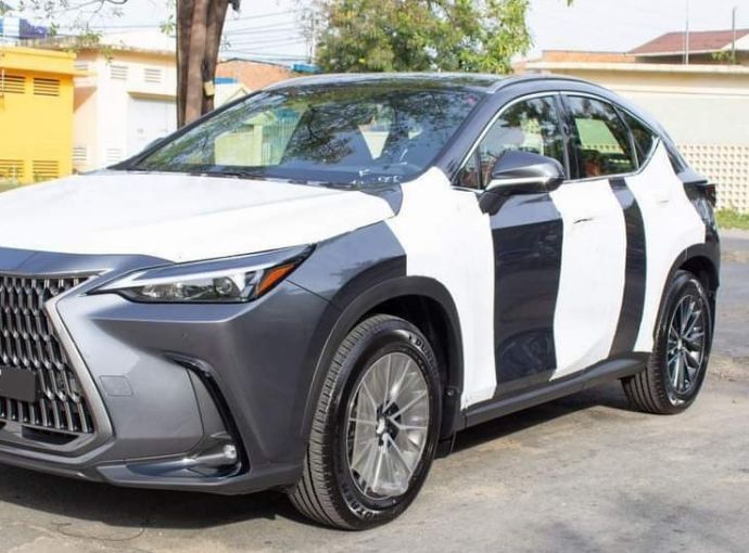 Lexus NX 2022