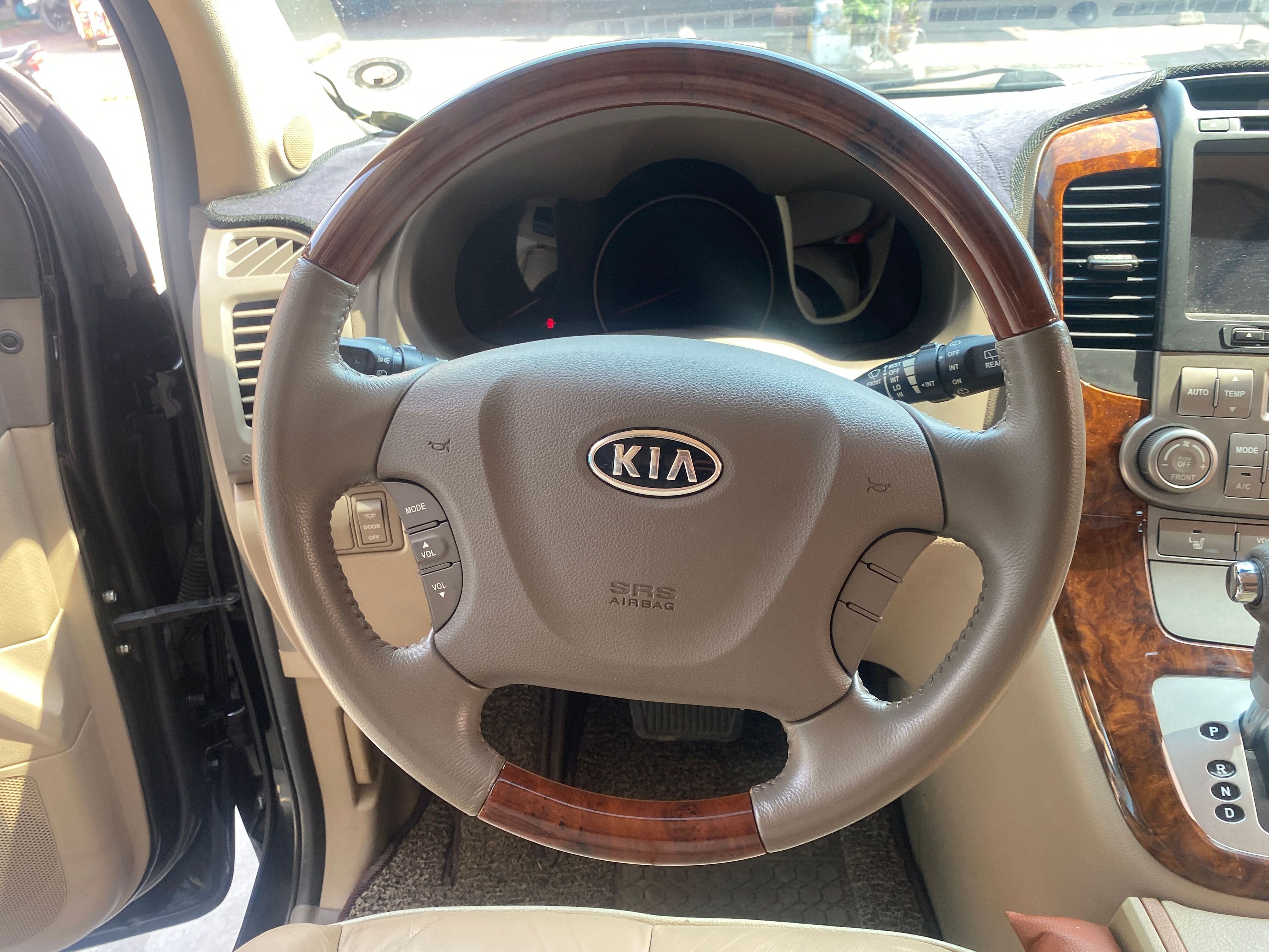 Kia Carnival 2010